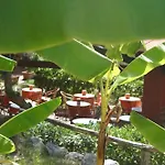 Hotel Ruralia Capo Vaticano