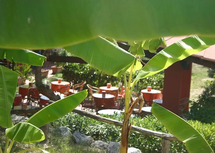 Hotell Agriturismo Ruralia Capo Vaticano